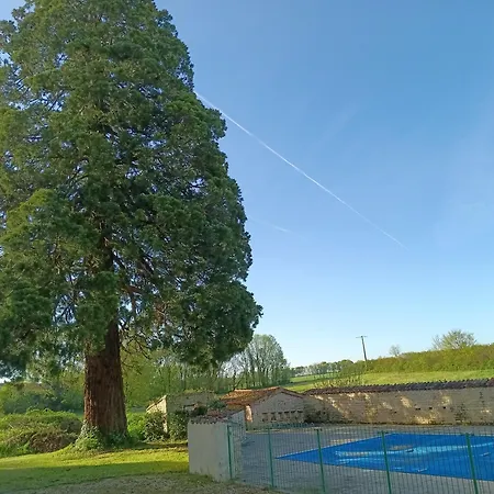 Les Hirondelles * Villemain